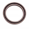 Pressure oil seal 55x70x8/8,5 N1T01 FPM [BABSL]